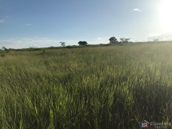 Imagem Imóvel à Venda, 535.000 m² em Centro - Gurinhatã