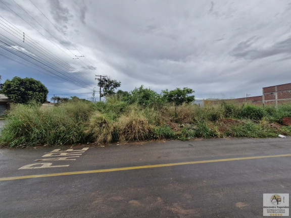 Imagem Terreno à Venda, 497 m² em Setor Dos Bandeirantes - Aparecida De Goiânia Imagem Terreno à Venda, 497 m² em Setor Dos Bandeirantes - Aparecida De Goiânia