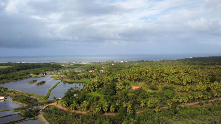 Casa com 2 Quartos à Venda, 4.000 m² em Centro - Tibau Do Sul