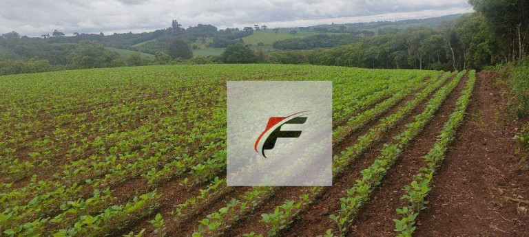 Chácara com 1 Quarto à Venda, 137.214 m² em Colônia Balbino Cunha - Campo Largo