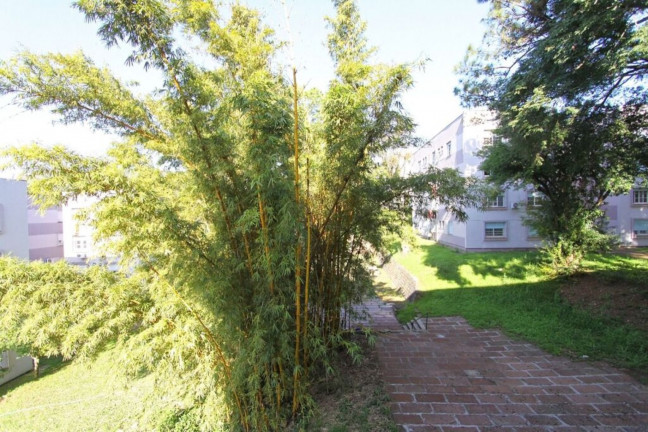 Imagem Imóvel com 3 Quartos à Venda, 77 m² em Teresópolis - Porto Alegre Imagem Imóvel com 3 Quartos à Venda, 77 m² em Teresópolis - Porto Alegre