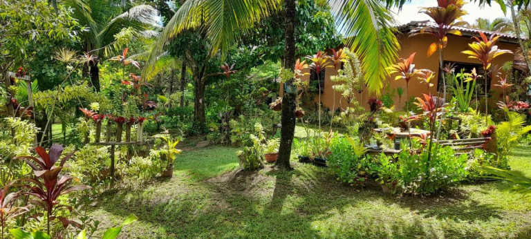 Imagem Chácara com 3 Quartos à Venda, 5.700 m² em Barra Do Pojuca (monte Gordo) - Camaçari Imagem Chácara com 3 Quartos à Venda, 5.700 m² em Barra Do Pojuca (monte Gordo) - Camaçari