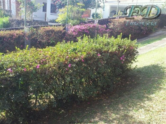 Imagem Chácara com 3 Quartos à Venda, 1.000 m² em Nirvana - Atibaia Imagem Chácara com 3 Quartos à Venda, 1.000 m² em Nirvana - Atibaia