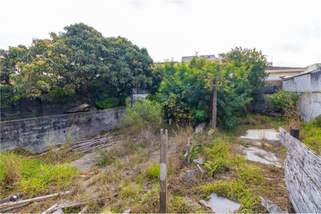 Imagem Terreno à Venda, em Vila Marieta - São Paulo Imagem Terreno à Venda, em Vila Marieta - São Paulo