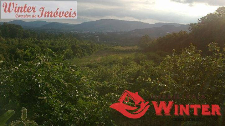 Imagem Chácara à Venda, 8 m² em Picada Cara - Feliz Imagem Chácara à Venda, 8 m² em Picada Cara - Feliz