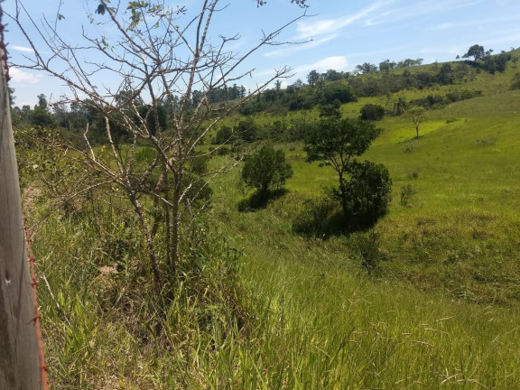 Imagem Chácara à Venda, 400.000 m² em Barreiro - Taubaté Imagem Chácara à Venda, 400.000 m² em Barreiro - Taubaté