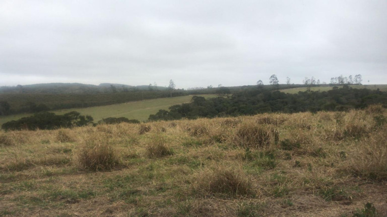 Imagem Fazenda à Venda, 59 m² em Rural - São Miguel Arcanjo Imagem Fazenda à Venda, 59 m² em Rural - São Miguel Arcanjo