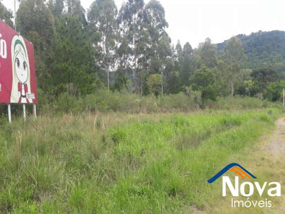 Imagem Imóvel à Venda, 10.211 m² em Linha Araripe - Nova Petrópolis