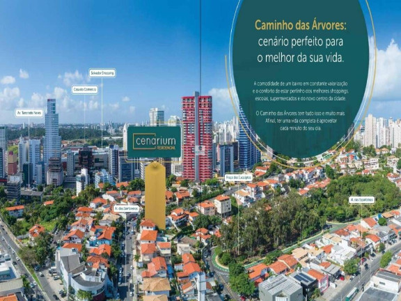 Imagem Apartamento com 2 Quartos à Venda, 72 m² em Caminho Das árvores - Salvador