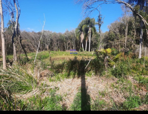 Imagem Imóvel com 1 Quarto à Venda, 18.500 m² em Rural - Alto Paraná