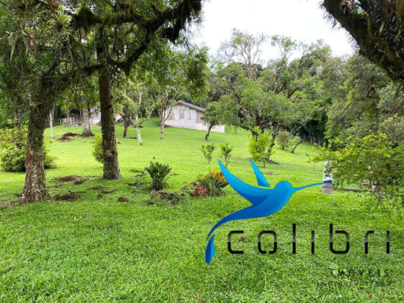 Imagem Chácara com 3 Quartos à Venda, 47.513 m² em Capoeira Dos Dinos - Piraquara