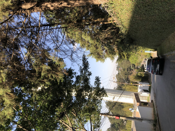 Imagem Apartamento com 2 Quartos à Venda, 43 m² em Jardim Da Glória - Cotia Imagem Apartamento com 2 Quartos à Venda, 43 m² em Jardim Da Glória - Cotia