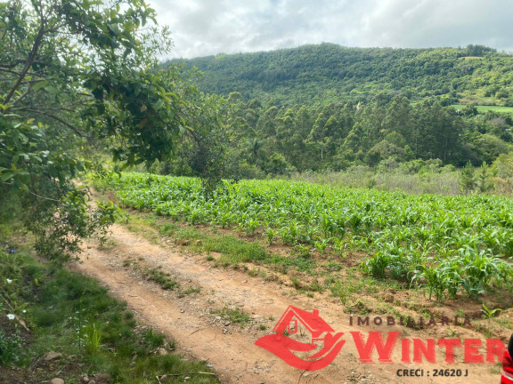 Imagem Chácara à Venda, 63.000 m² em São Roque - Feliz