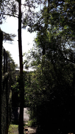 Imagem Imóvel à Venda, em Teresópolis - Porto Alegre Imagem Imóvel à Venda, em Teresópolis - Porto Alegre