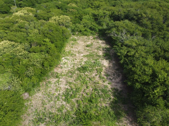 Imagem Terreno em Condomínio à Venda, 803 m² em Zona Rural - Macaíba Imagem Terreno em Condomínio à Venda, 803 m² em Zona Rural - Macaíba