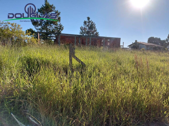 Imagem Casa à Venda, 600 m² em Viamão