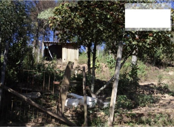 Imagem Chácara com 2 Quartos à Venda, 1.440 m² em Terra Preta - Mairiporã