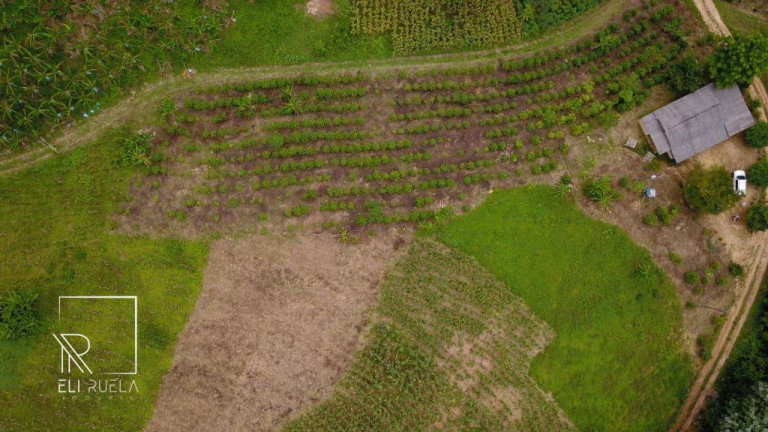 Imagem Chácara com 3 Quartos à Venda, 30.000 m² em Boa Esperança - Marechal Floriano