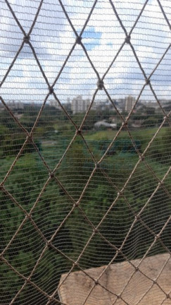 Imagem Apartamento à Venda,  em Alto Da Boa Vista - Ribeirão Preto