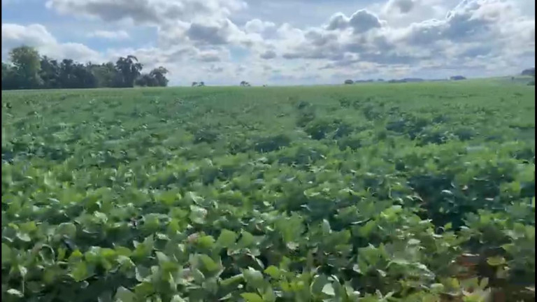 Imagem Chácara à Venda, 38 m² em Rural - Coronel Macedo