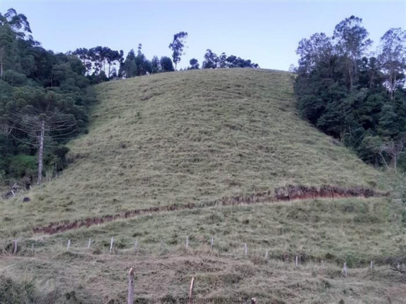 Imagem Imóvel com 3 Quartos à Venda, 250 m² em Azevedo - Joanópolis
