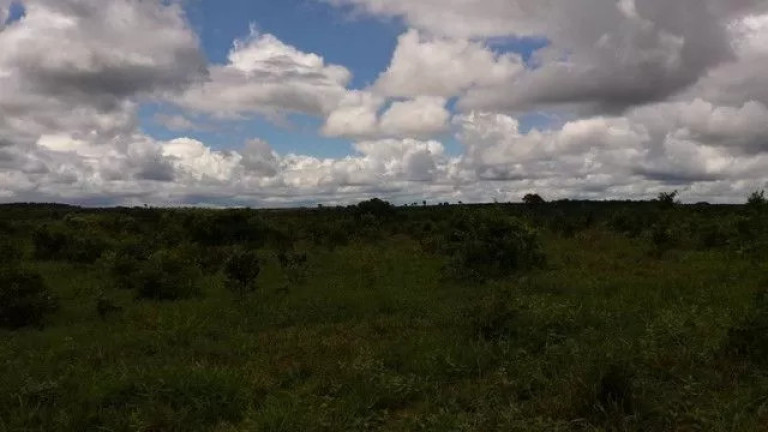 Imagem Fazenda à Venda, 500 m² em Zona Rural - Paranatinga