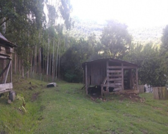 Imagem Imóvel com 4 Quartos à Venda, 168 m² em Vila Cristina - Caxias Do Sul