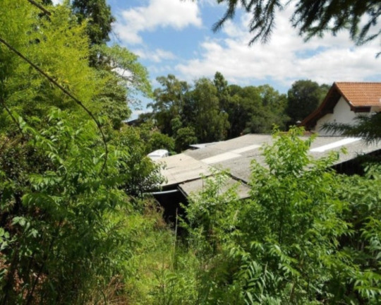 Imagem Terreno à Venda, 1.098 m² em Centro - Nova Petrópolis Imagem Terreno à Venda, 1.098 m² em Centro - Nova Petrópolis