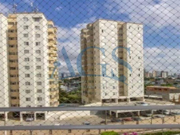 Imagem Apartamento com 3 Quartos à Venda, 67 m² em Vila Matilde - São Paulo Imagem Apartamento com 3 Quartos à Venda, 67 m² em Vila Matilde - São Paulo