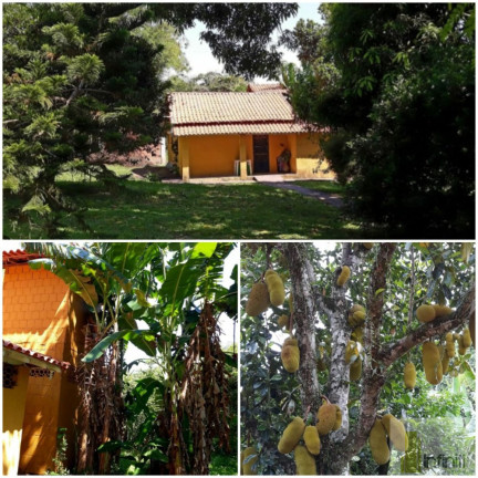 Imagem Imóvel à Venda, 1.000 m² em Itaboraí - Rio De Janeiro Imagem Imóvel à Venda, 1.000 m² em Itaboraí - Rio De Janeiro