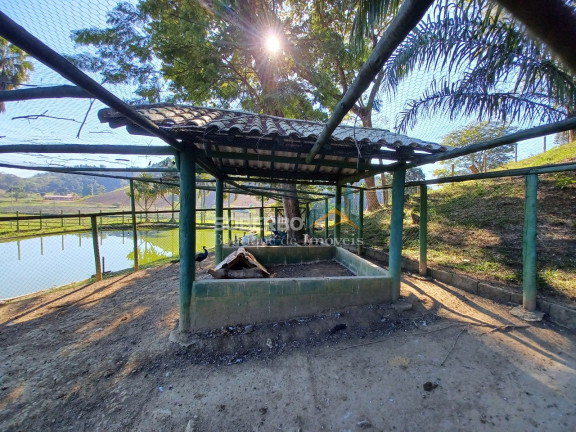Imagem Imóvel com 4 Quartos à Venda, 720.000 m² em Maraporá - Cachoeiras De Macacu