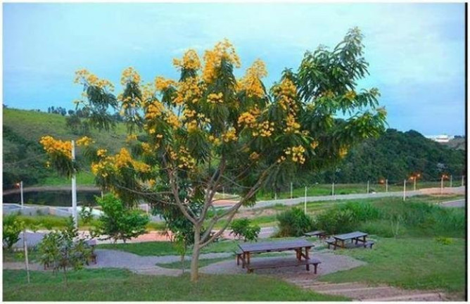 Imagem Imóvel à Venda, 78 m² em Loteamento Residencial Rio Das Flores - Itatiba Imagem Imóvel à Venda, 78 m² em Loteamento Residencial Rio Das Flores - Itatiba