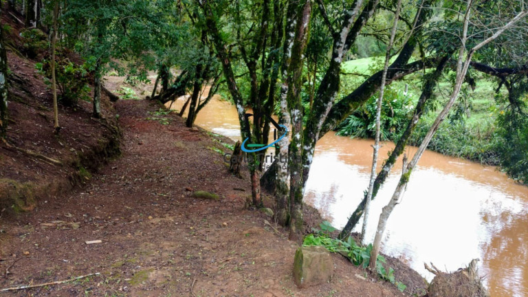 Imagem Imóvel com 2 Quartos à Venda, 5.000 m² em Campo Magro - Campo Magro