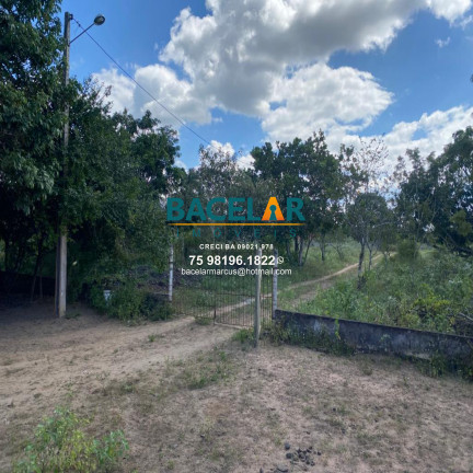 Imagem Imóvel com 4 Quartos à Venda, 100 m² em São Jose Ba - Feira De Santana Ba Imagem Imóvel com 4 Quartos à Venda, 100 m² em São Jose Ba - Feira De Santana Ba