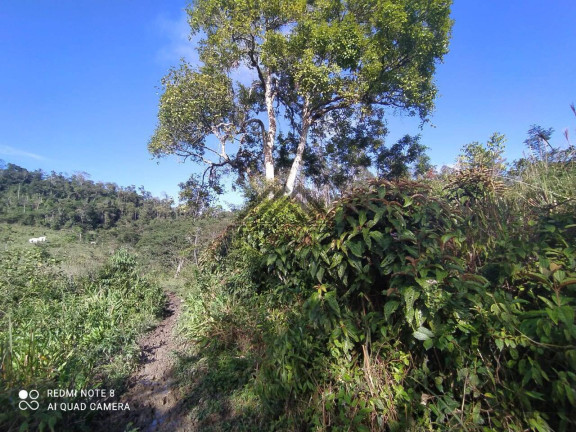 Imagem Chácara à Venda, 11 m² em Centro - Miracatu Imagem Chácara à Venda, 11 m² em Centro - Miracatu