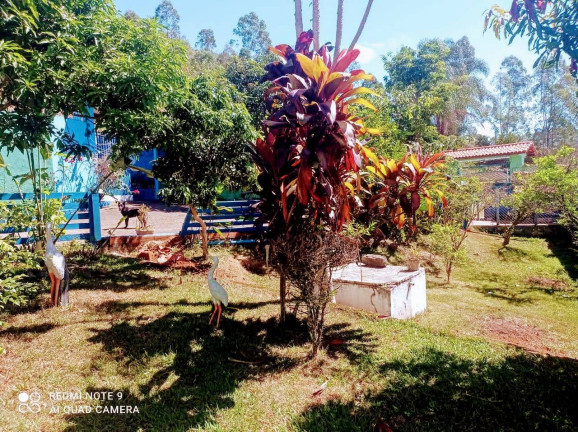 Imagem Chácara com 6 Quartos à Venda, 53 m² em Zona Rural - Cambuí