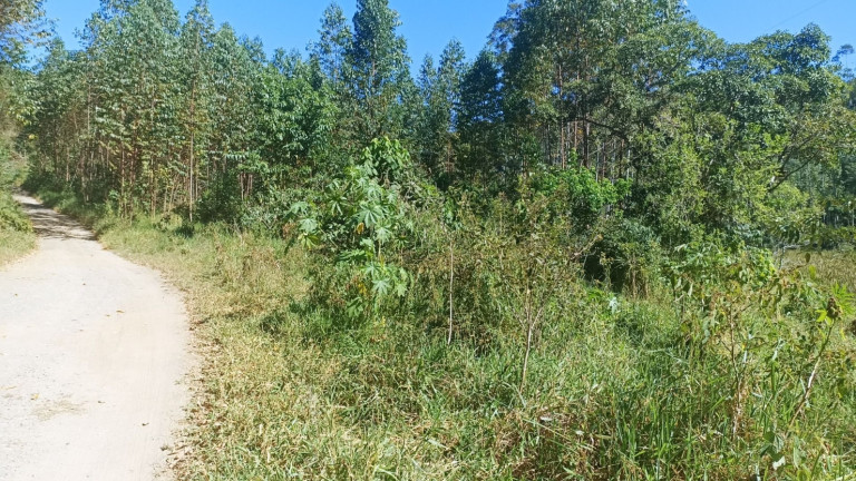 Imagem Chácara com 1 Quarto à Venda, 200 m² em Mirandão - Paraibuna Imagem Chácara com 1 Quarto à Venda, 200 m² em Mirandão - Paraibuna