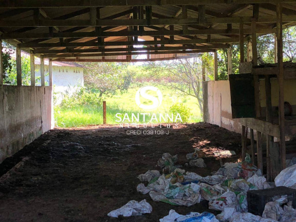 Imagem Chácara à Venda, 16 m² em área Rural De Fernandópolis - Fernandópolis Imagem Chácara à Venda, 16 m² em área Rural De Fernandópolis - Fernandópolis