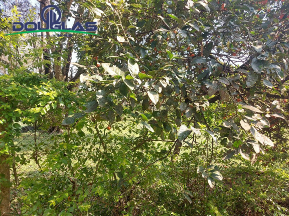 Imagem Terreno à Venda, 595 m² em águas Claras - Viamão