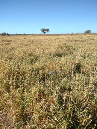 Imagem Imóvel à Venda, 2.000 m² em Centro - Hidrolândia Imagem Imóvel à Venda, 2.000 m² em Centro - Hidrolândia
