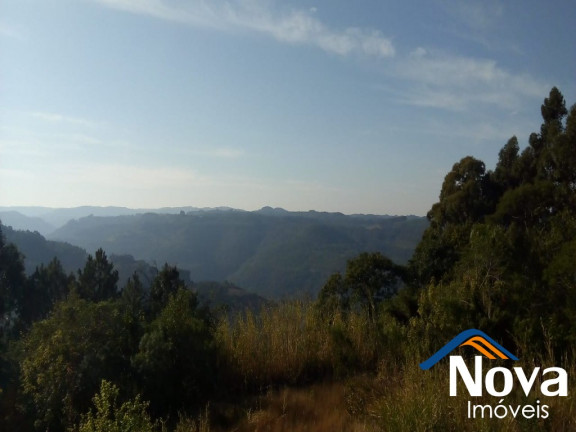 Imagem Imóvel com 3 Quartos à Venda, em Pinhal Alto - Nova Petrópolis Imagem Imóvel com 3 Quartos à Venda, em Pinhal Alto - Nova Petrópolis