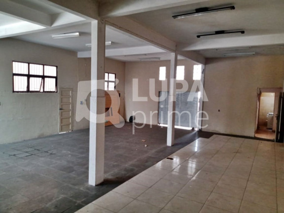 Imagem Casa com 3 Quartos para Alugar, 260 m² em Vila Maria - São Paulo Imagem Casa com 3 Quartos para Alugar, 260 m² em Vila Maria - São Paulo