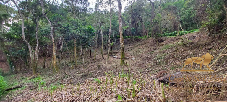 Imagem Terreno à Venda, 1.050 m² em Alto Da Boa Vista - Campos Do Jordão Imagem Terreno à Venda, 1.050 m² em Alto Da Boa Vista - Campos Do Jordão