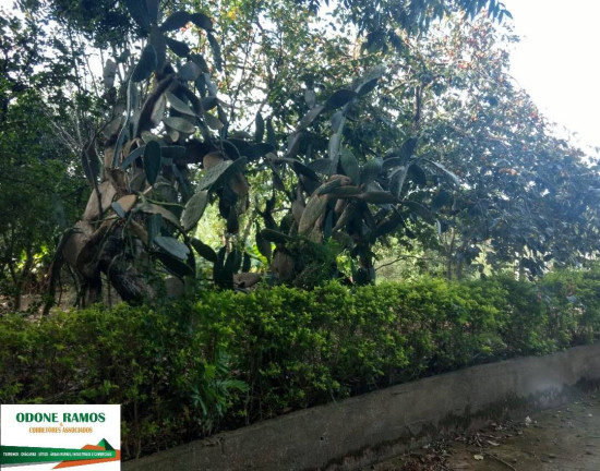 Imagem Casa com 3 Quartos à Venda, 2.236 m² em Califórnia - Nova Santa Rita Imagem Casa com 3 Quartos à Venda, 2.236 m² em Califórnia - Nova Santa Rita