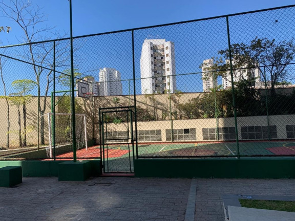 Imagem Apartamento com 3 Quartos à Venda, 75 m² em Vila Esperança - São Paulo Imagem Apartamento com 3 Quartos à Venda, 75 m² em Vila Esperança - São Paulo