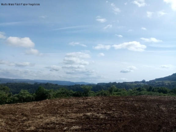 Imagem Terreno à Venda, 4 m² em Pinhal Alto - Nova Petrópolis