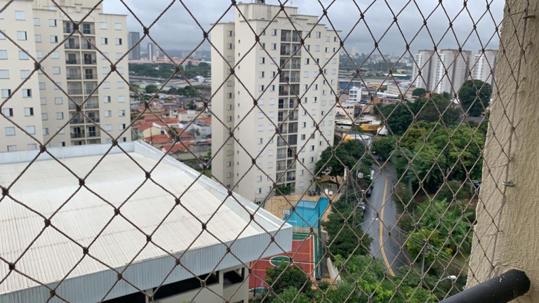 Imagem Apartamento com 3 Quartos à Venda, 68 m² em Vila Dos Remédios - São Paulo