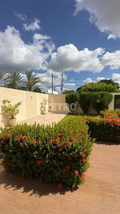 Imagem Casa à Venda, 500 m² em Pedra Do Bode - Petrolina