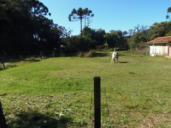 Imagem Terreno à Venda, 515 m² em Bateias - Campo Largo Imagem Terreno à Venda, 515 m² em Bateias - Campo Largo