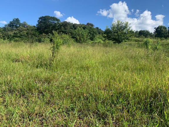 Imagem Terreno à Venda, 1.000 m² em Suzana - Brumadinho Imagem Terreno à Venda, 1.000 m² em Suzana - Brumadinho